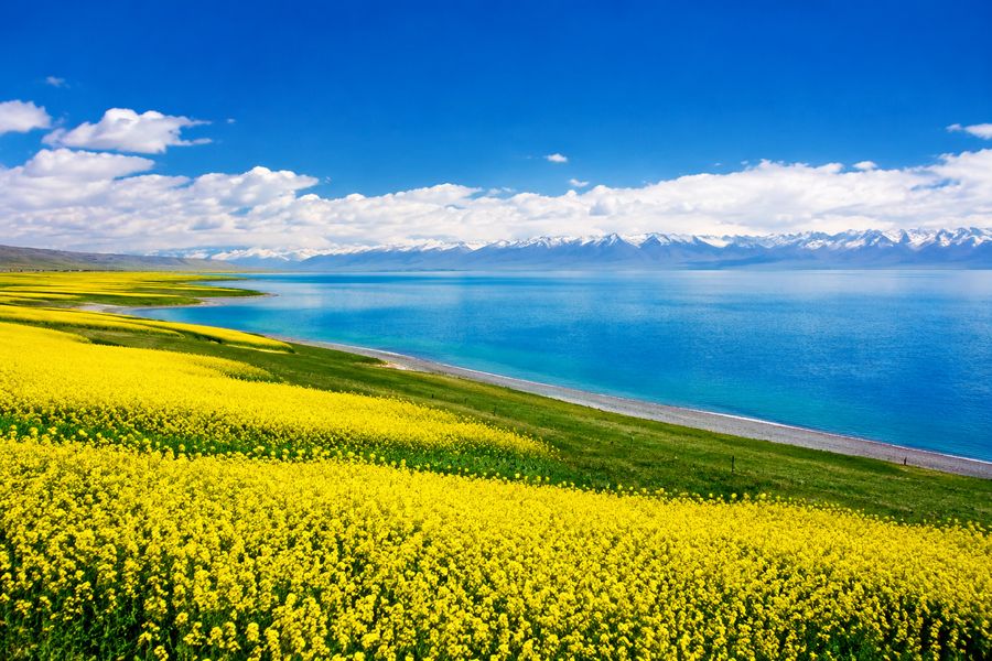 qinghaihu